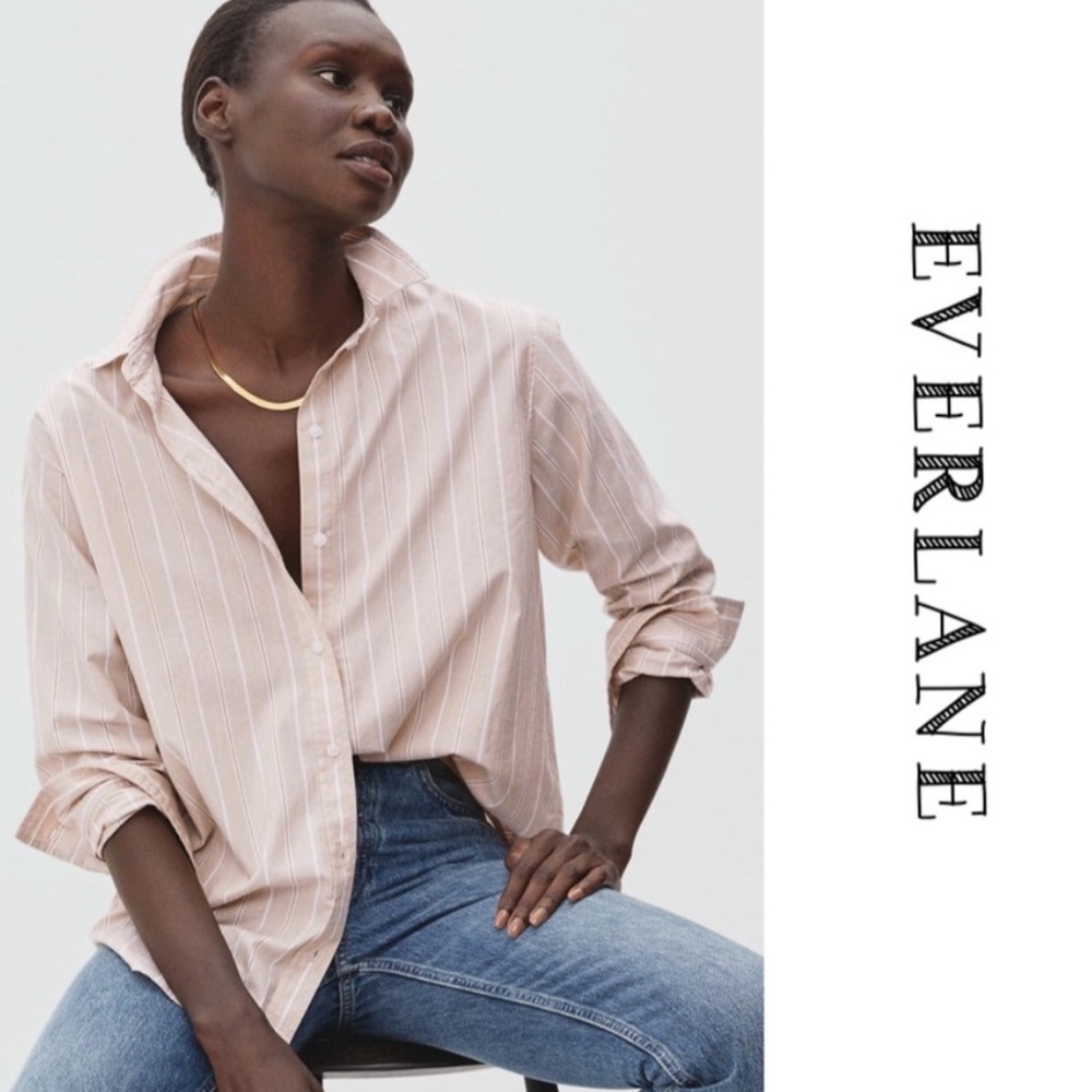 Everlane Nude Striped Button Down Blouse Size 6